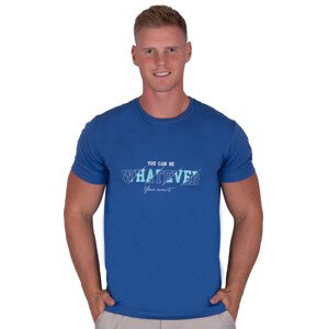 Pánské jednobarevné tričko s krátkým rukávem TDS Barva/Velikost: modrá / M/L