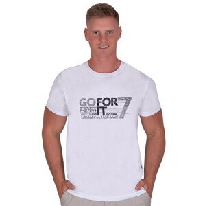 Pánské jednobarevné tričko vzor 329 TDS Barva/Velikost: bílá / L/XL