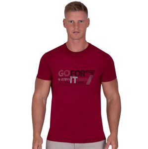Pánské jednobarevné tričko vzor 329 TDS Barva/Velikost: bordo (vínová) / L/XL