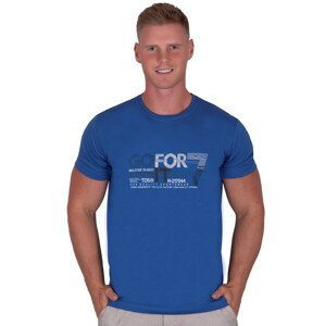 Pánské jednobarevné tričko vzor 329 TDS Barva/Velikost: modrá / S/M